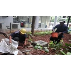 Bekasi Building Instrument Grounding Installation Services 7